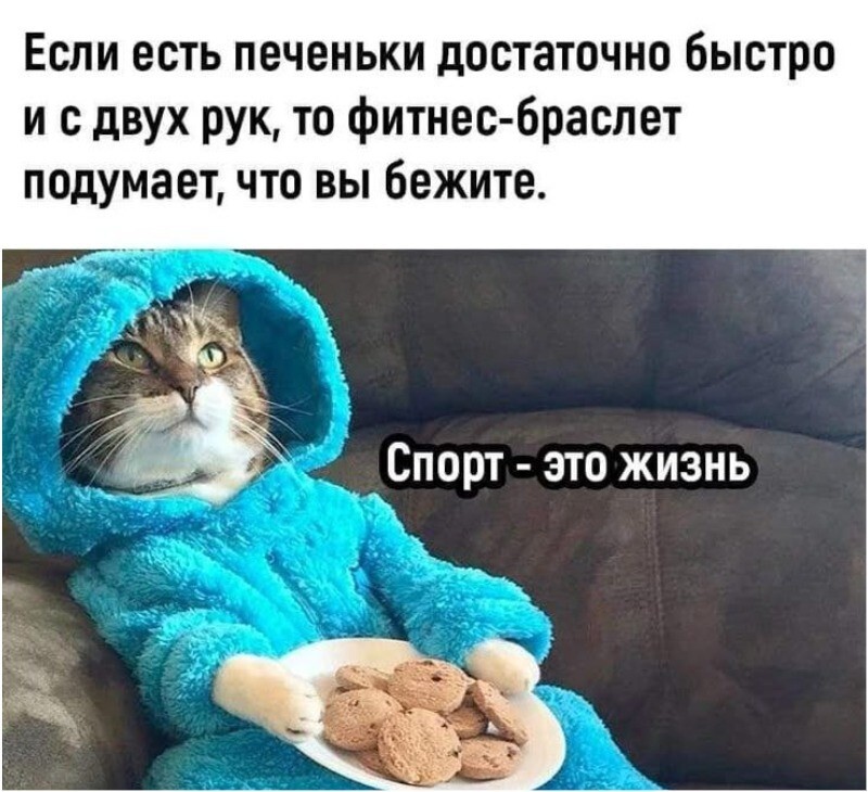 Российским спортсменам разрешили вернуться в международные соревнования