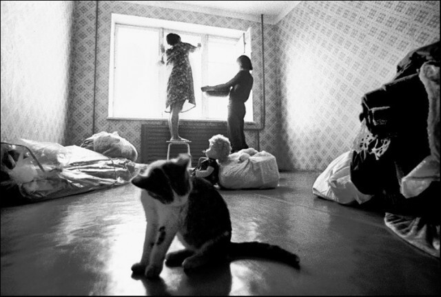 Наши верные спутники-2