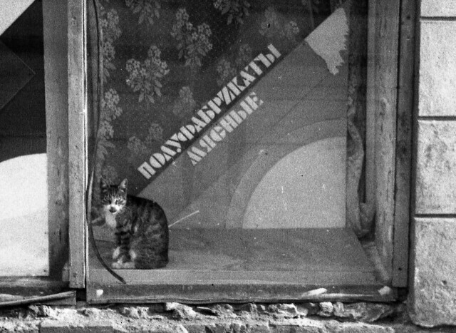 Наши спутники-3