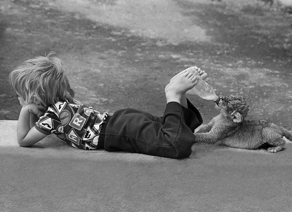Независимый, 1978.