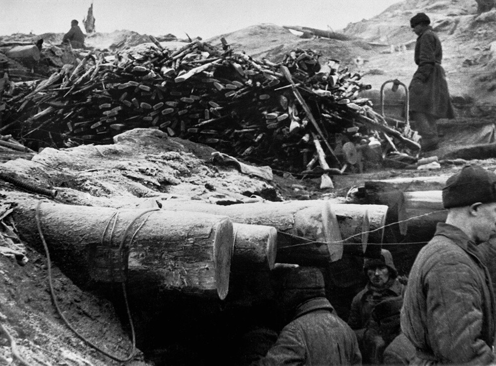 Винтовки убитых. 19 сентября 1941 – 29 апреля 1942 года. Автор: Всеволод Тарасевич. Ленинградская область, поселок Невская Дубровка.