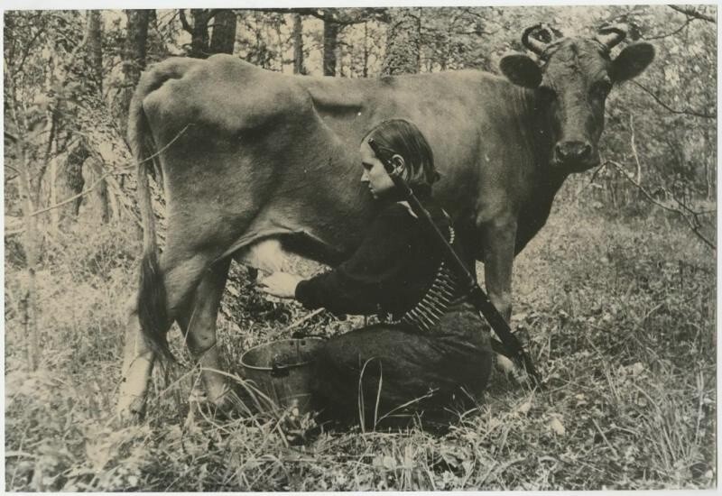 Партизанская кормилица. 1942 год. Автор: Яков Давидзон.