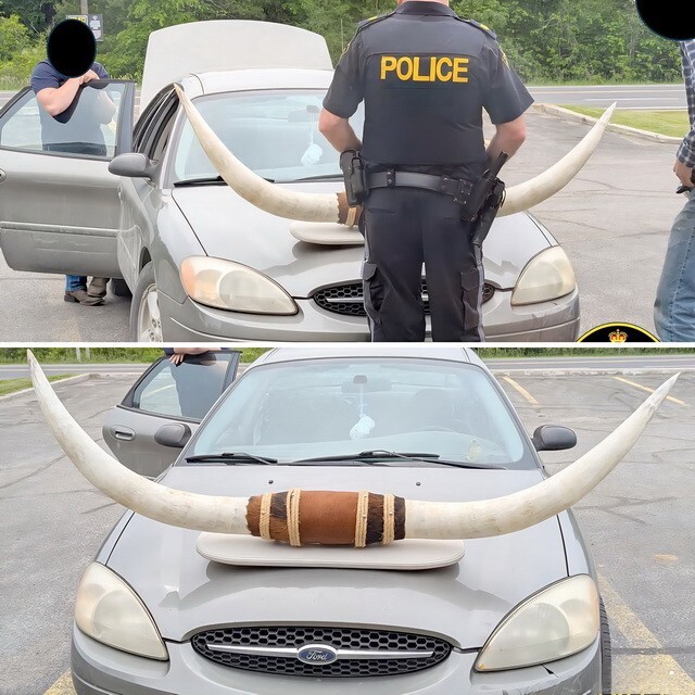 АвтоВсячина