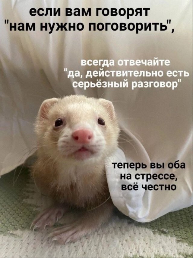 Скрины из соцсетей