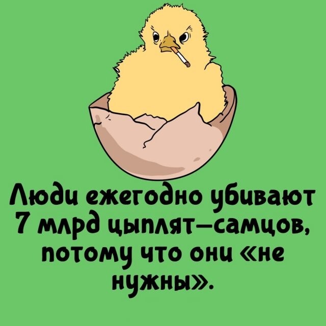 А вдруг ты не знал…