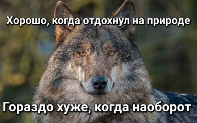 Смешные картинки