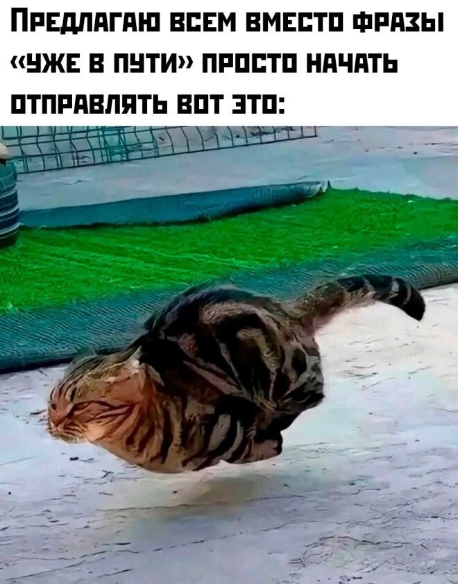 Не ищите здесь смысл. Здесь в основном маразм