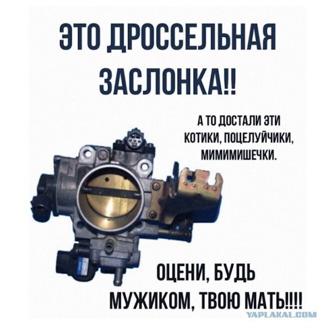 Не ищите здесь смысл. Здесь в основном маразм