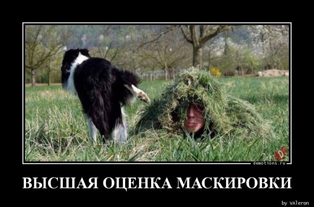 Маскировка