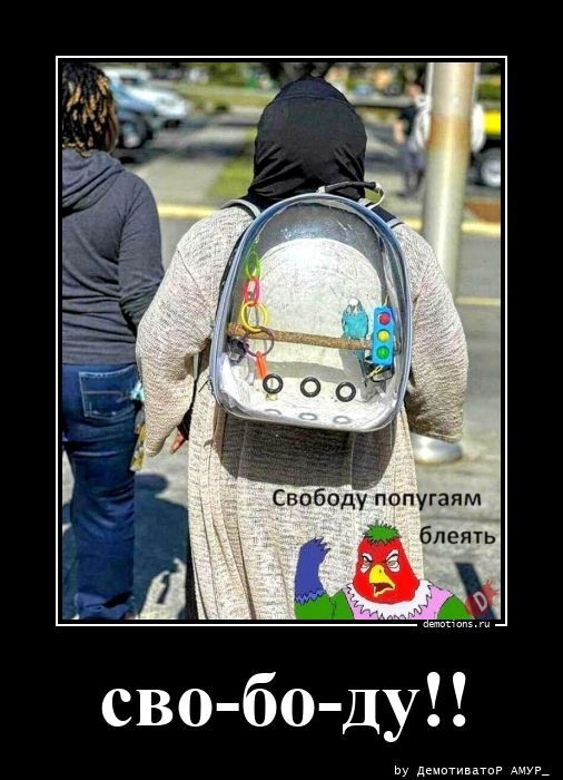 Сво-бо-ду!!