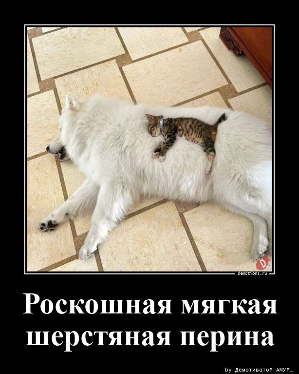 Роскошная мягкая шерстяная перина
