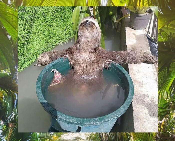 День СПА.