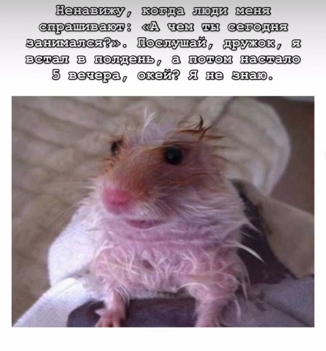 Скрины из соцсетей