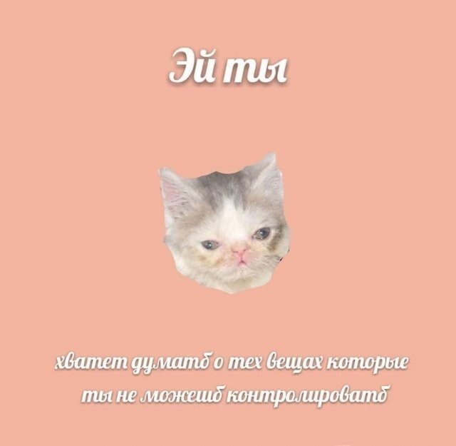 Скрины из соцсетей