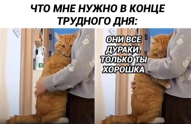 Скрины из соцсетей