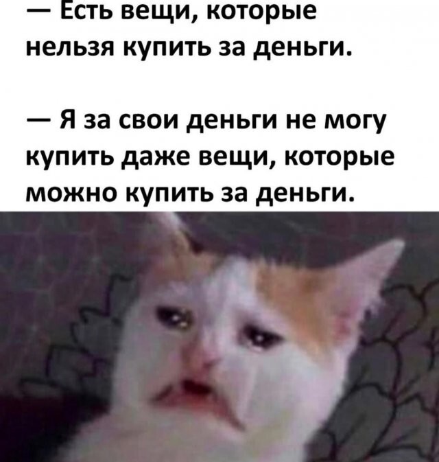 Скрины из соцсетей