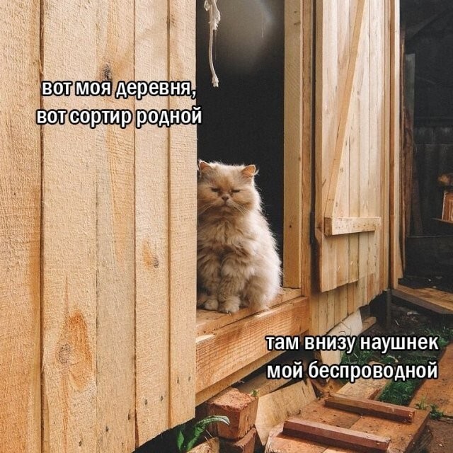 Скрины из соцсетей