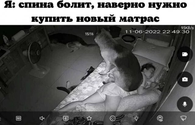 Скрины из соцсетей