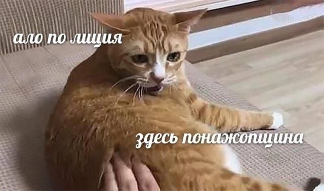 Скрины из соцсетей