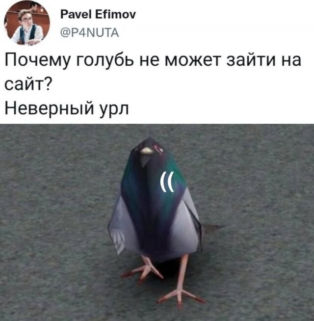 Скрины из соцсетей