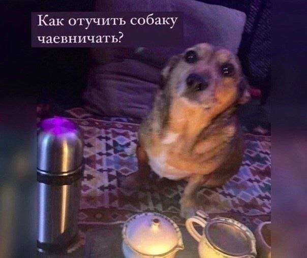 Скрины из соцсетей