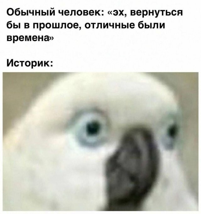 Скрины из соцсетей