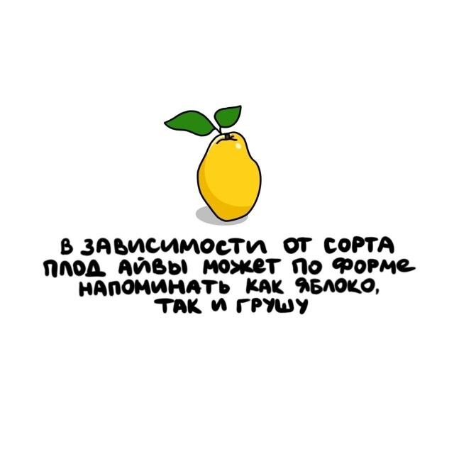 А вдруг ты не знал…