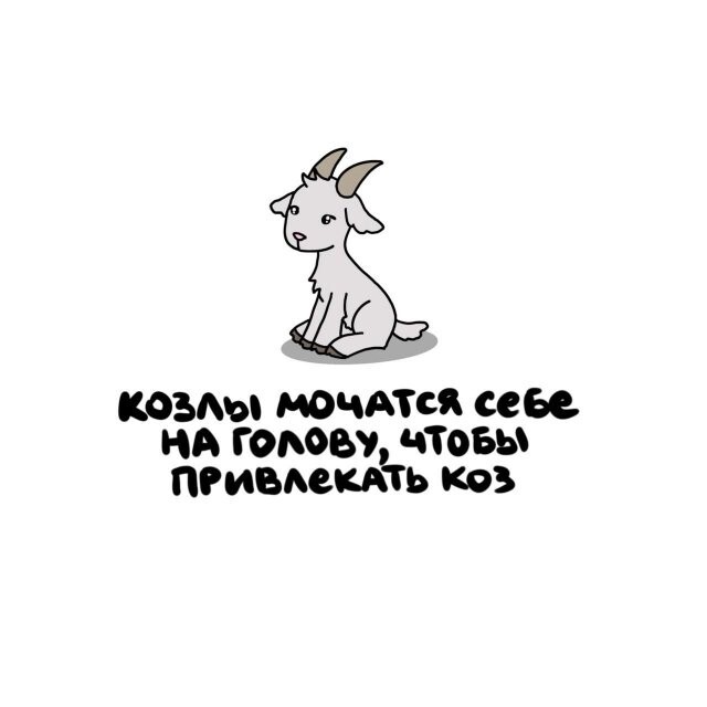 А вдруг ты не знал…