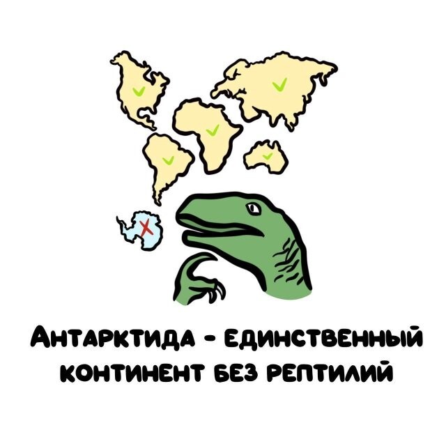 А вдруг ты не знал…