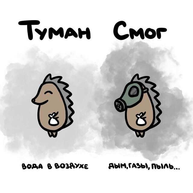 А вдруг ты не знал…