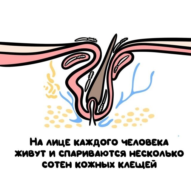 А вдруг ты не знал…