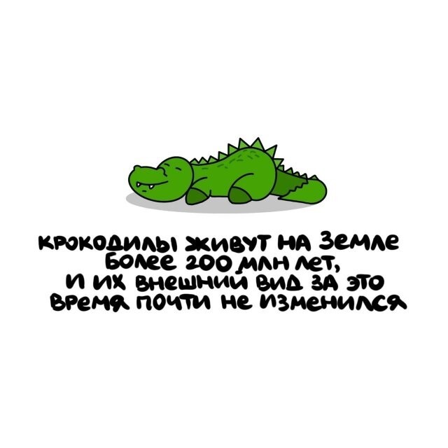 А вдруг ты не знал…