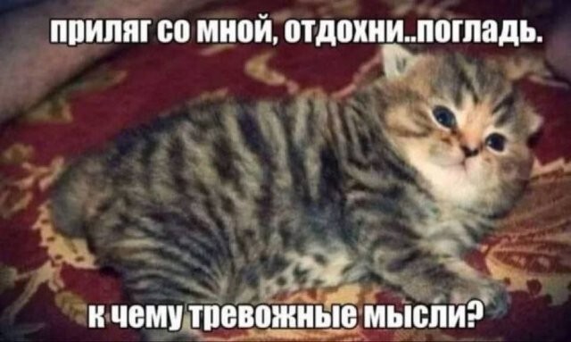 Не ищите здесь смысл. Здесь в основном маразм