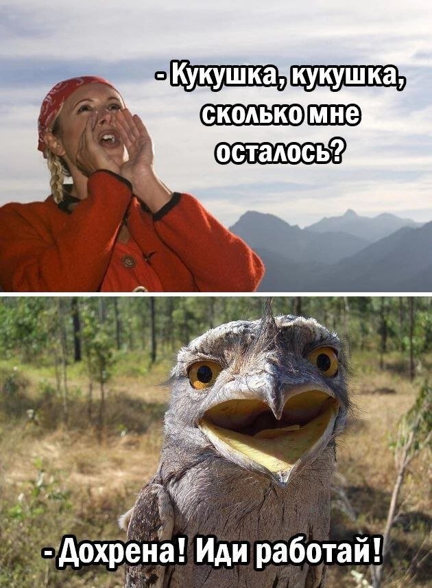 Не ищите здесь смысл. Здесь в основном маразм