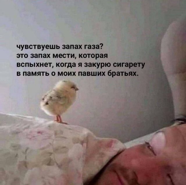 Не ищите здесь смысл. Здесь в основном маразм