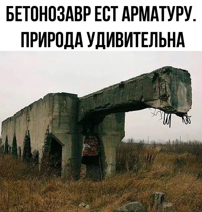 Всё вразнобой 