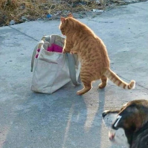15. Что тут у нас плохо лежит?
