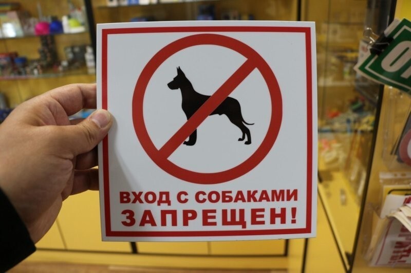 В Краснодарском крае запретили посещать общественные места с собаками