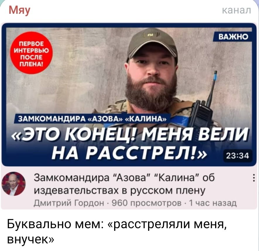Политика , политика