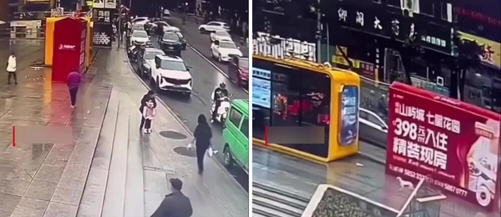 В Японии давно потерявшаяся собака нашла хозяйку по запаху в центре мегаполиса