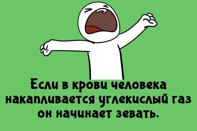 А вдруг ты не знал…
