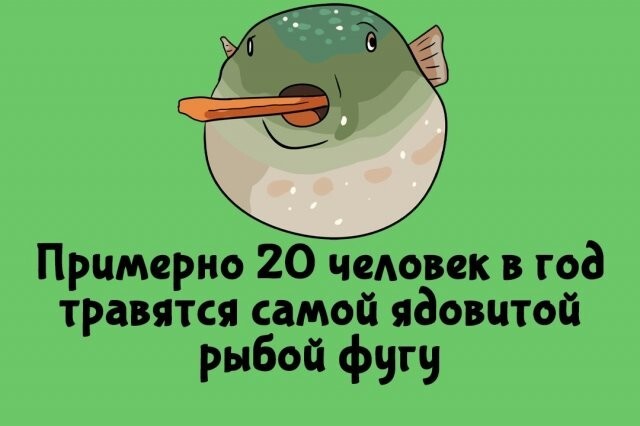 А вдруг ты не знал…