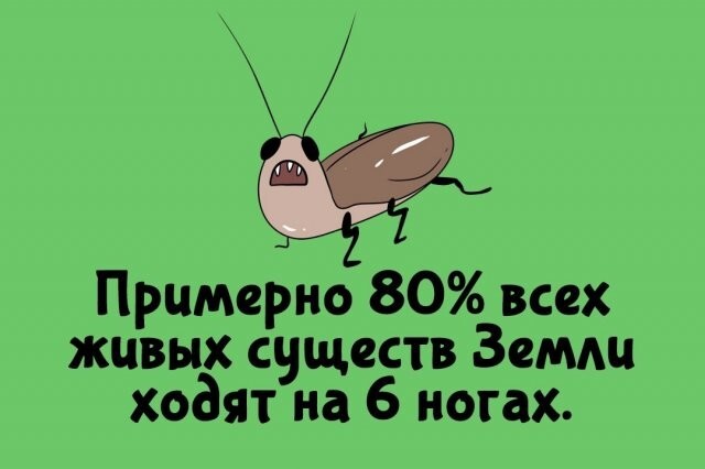 А вдруг ты не знал…