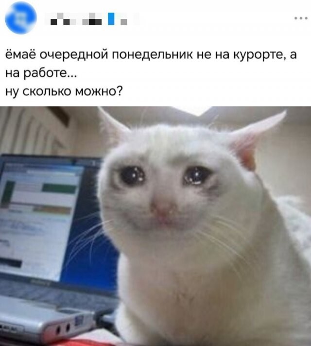 Намешалось