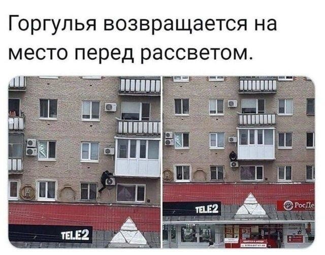 Картинки