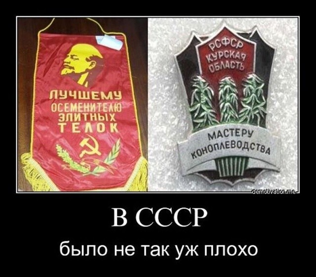 Большая тарелка улыбатора