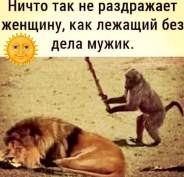 Большая тарелка улыбатора