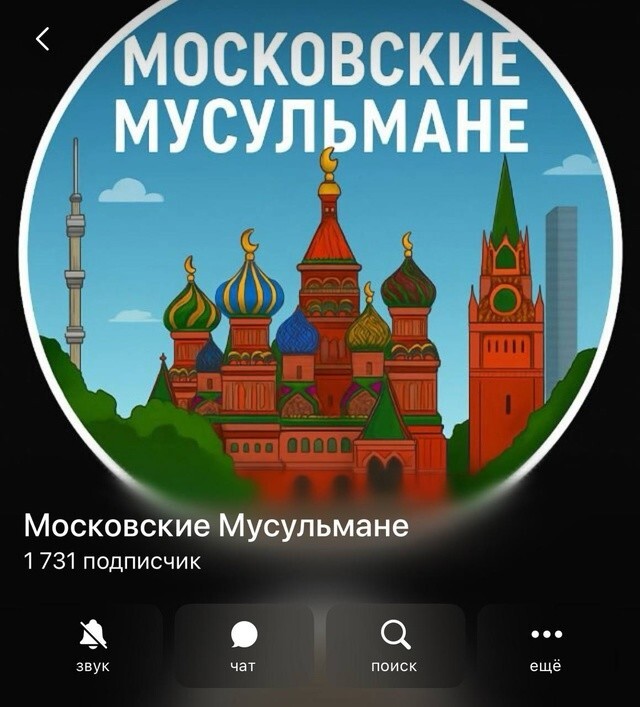 Не масштабируйте(с) В. Матвиенко