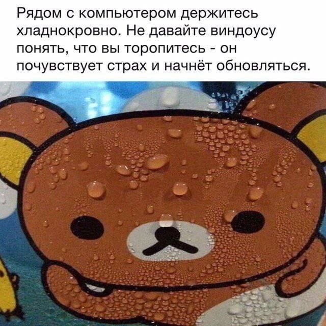 Скрины из соцсетей