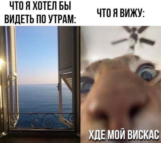 Скрины из соцсетей